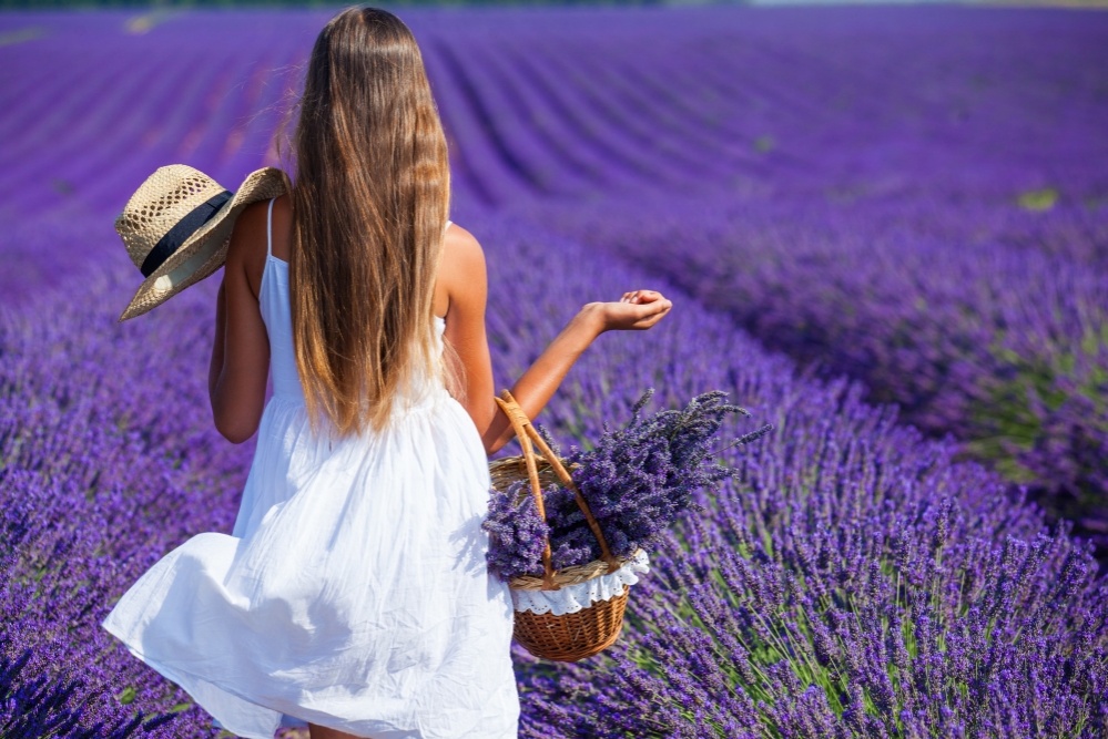 bigstock-young-girl-in-the-lavander-fie-121791347_1000