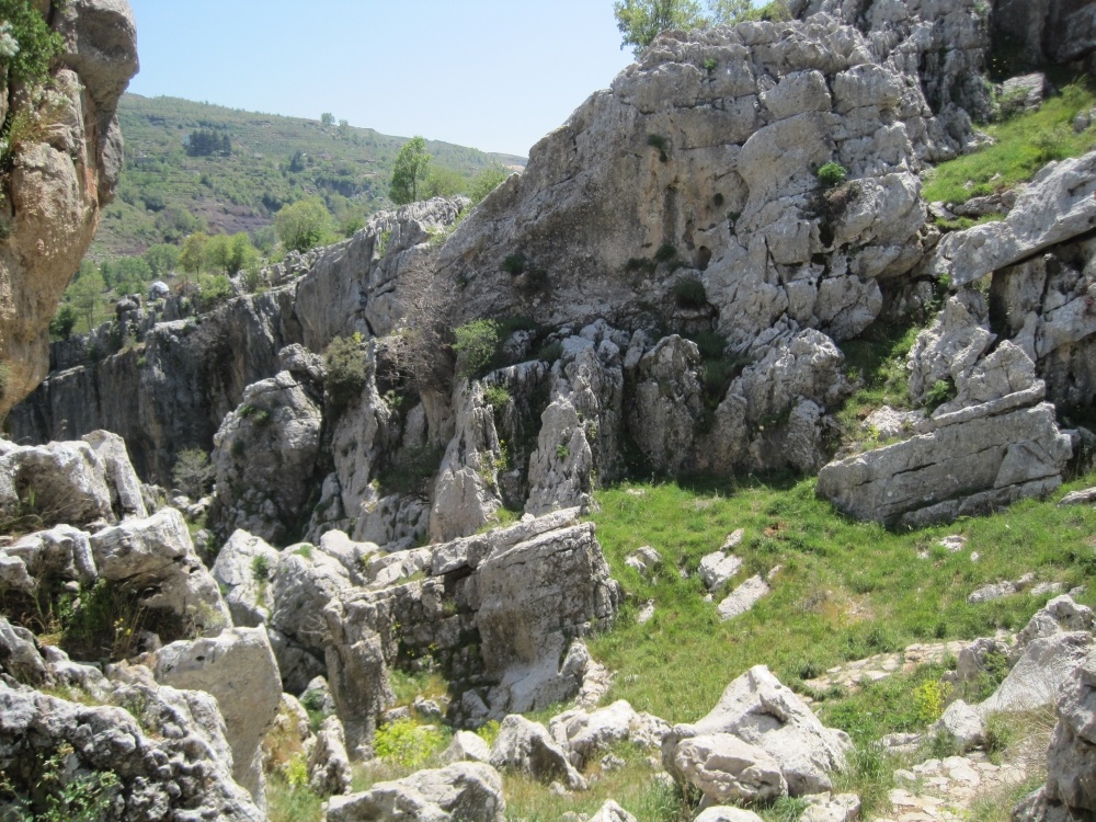 obr3---tannourine_1000