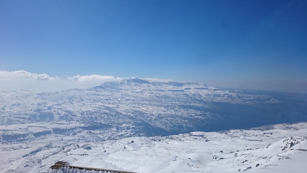 zaarour_1024